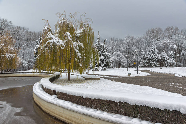Winter view with snow covered trees in South Park in city of Sofia, Bulgaria - Fotó, kép