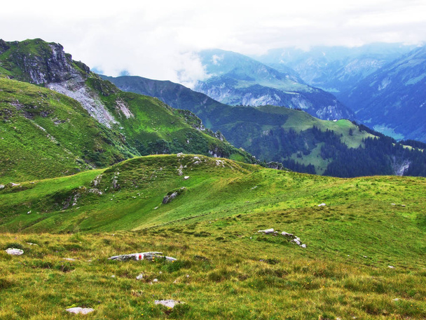 Pascoli e colline pittoresche nella regione Ostschweiz - Cantone di San Gallo, Svizzera
 - Foto, immagini