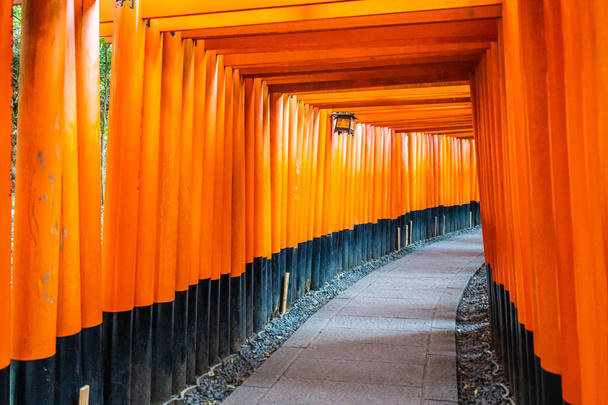 Beautiful fushimi inari shrine temple in Kyoto Japan - Photo, Image