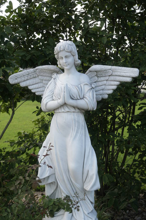 Melek beyaz heykeli ellerini dua ile - Fotoğraf, Görsel