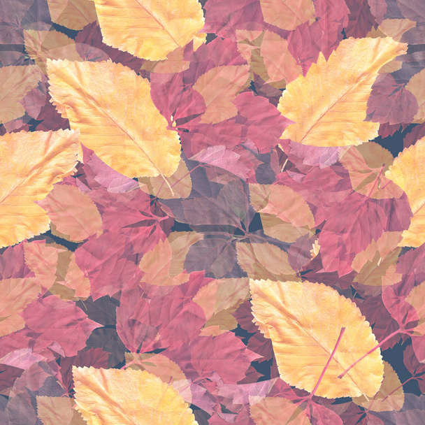 Яркие цветные осенние листья. Схема швов. Естественный фон. Смешанные медиаматериалы
. - Фото, изображение