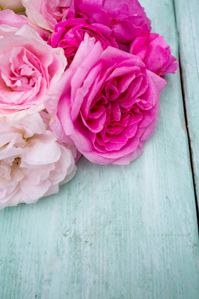 beautiful pink garden roses on turquoise wooden surface - Φωτογραφία, εικόνα