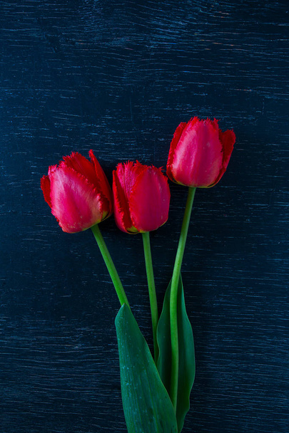 beautiful red tulips on dark wooden surface - Fotoğraf, Görsel