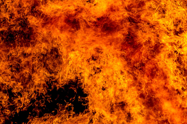 Горящий костер ночью, расчесывает пламя, как текстуру и фон, сильные ветви, жгущие деревья лесного пожара
 - Фото, изображение