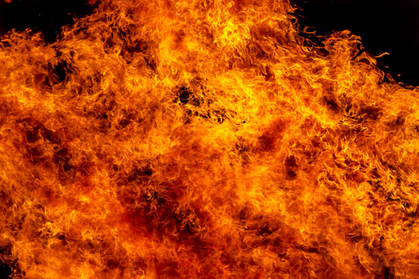 Fogueira ardente à noite, chama de pentes como textura e fundo, ramos fortes que queimam árvores de um incêndio florestal
 - Foto, Imagem