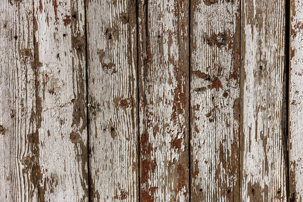 Ancient vintage style painted white wooden texture with remains of white paint. Very old, grunge, rustic wood texture with natural patterns and cracks on surface as wooden background - Фото, изображение