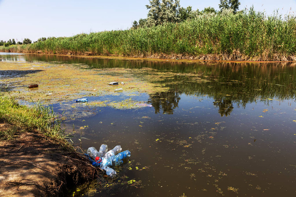 Küçük ölmekte olan nehir marsh bitkilerle büyümüş. Çevre kirliliği apışıp kalmak, alg hızlı büyüme. Ekolojik sorun. Suda berbatım. Plastik şişe doğa kirletmez. Şişe ve nehir çöpe - Fotoğraf, Görsel
