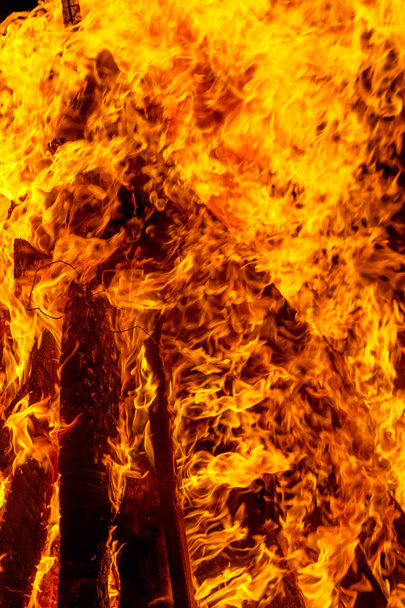 brennendes Lagerfeuer in der Nacht, Kaminfeuer als Textur und Hintergrund, starke Äste, die Bäume eines Waldbrandes verbrennen - Foto, Bild