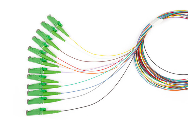 single mode fan out patch cord jumper with green fiber optic connector isolated on white background - Photo, Image