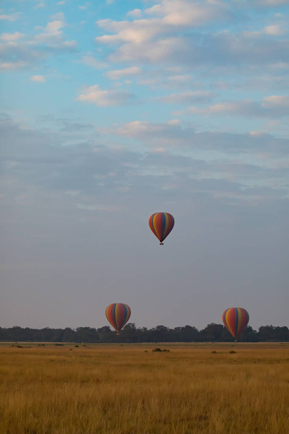 Big colorful balloons on beautiful background - Foto, Bild