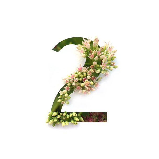 Tagliare il numero 2 (due) con la pianta in crescita all'interno. Parte dell'alfabeto
. - Foto, immagini