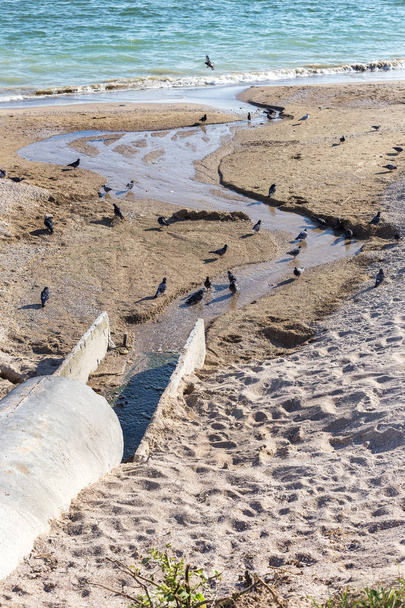 Huonosti käsitelty jätevesi päästetään rannalle rannalle mereen. Ympäristön saastuminen. Terveysnormien rikkominen. Uiminen on kielletty. Vaara ihmisille. Odessa, Ukraina, 2015
  - Valokuva, kuva