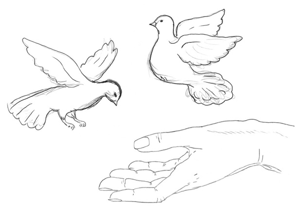 Птицы летают рядом с человеческой рукой
 - Фото, изображение