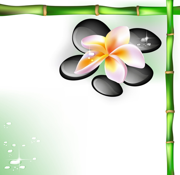 Spa concept zen stones and frangipani flowers - Vetor, Imagem