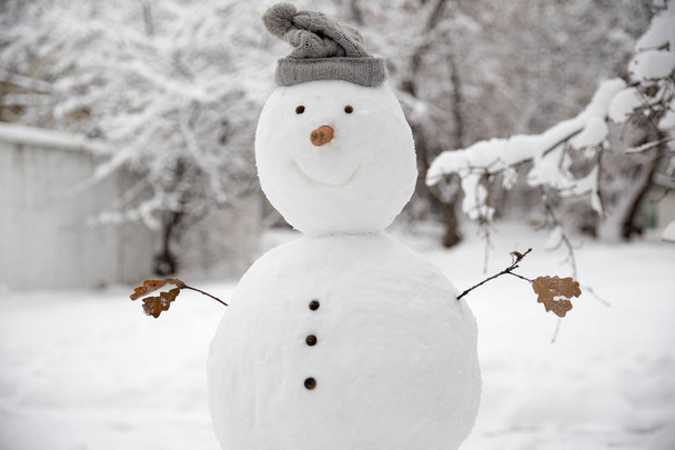 смешной снеговик с морковкой вместо носа и в теплой вязаной шляпе на заснеженном лугу на размытом фоне сада
. - Фото, изображение