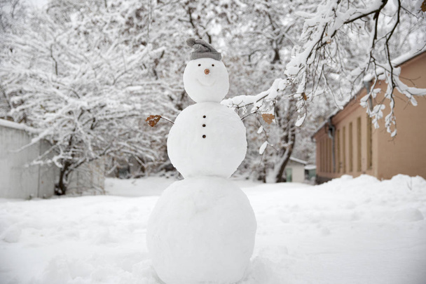 смешной снеговик с морковкой вместо носа и в теплой вязаной шляпе на заснеженном лугу на размытом фоне сада
. - Фото, изображение