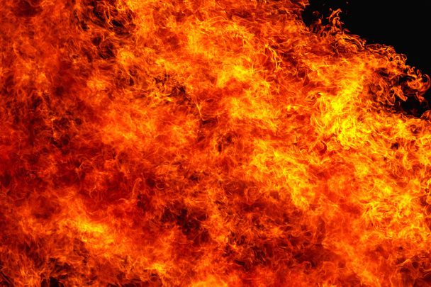 hořící ohně v noci, češe plamen jako textury a pozadí, silné větve hoří stromy lesní požár - Fotografie, Obrázek