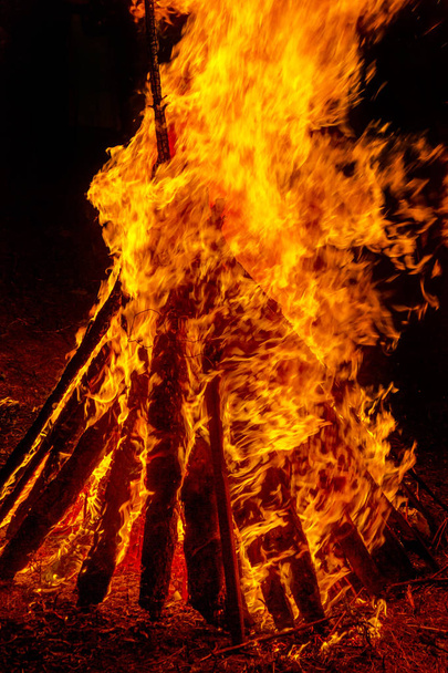 Горящий костер ночью, расчесывает пламя, как текстуру и фон, сильные ветви, жгущие деревья лесного пожара
 - Фото, изображение