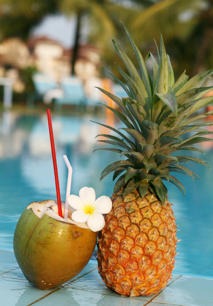 Coconut and pineapple - Foto, Imagen