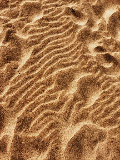 beach sand - travel, seascape, vacation and summer holidays concept, elegant visuals - Photo, Image