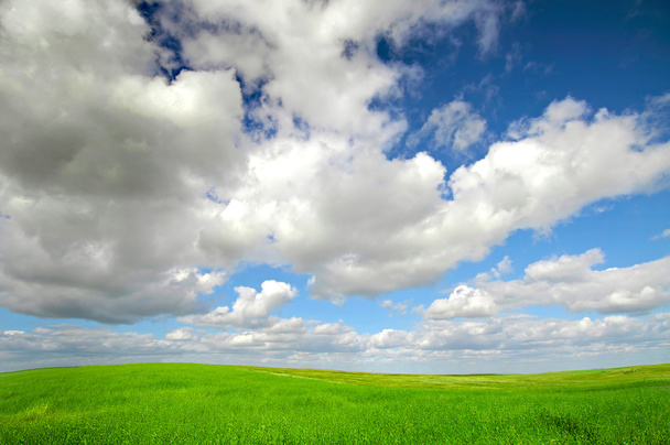 Green fields - Photo, Image