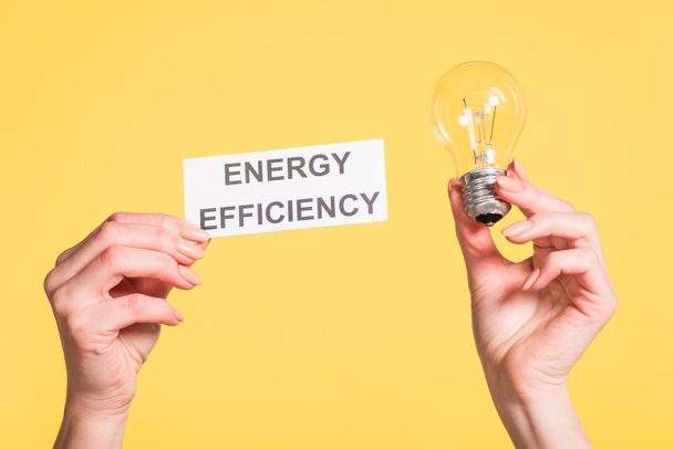 vista recortada de manos femeninas sosteniendo lámpara led y tarjeta de papel con letras aisladas en amarillo, concepto de eficiencia energética
 - Foto, imagen
