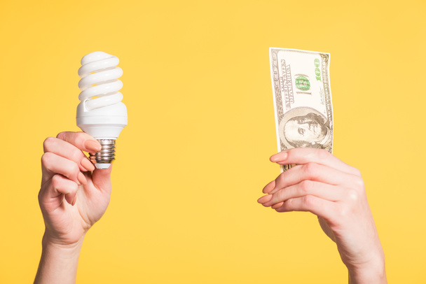 エネルギー効率の概念を黄色の分離の手で蛍光ランプと 100 ドル紙幣を保持している女性の手のトリミング ビュー - 写真・画像