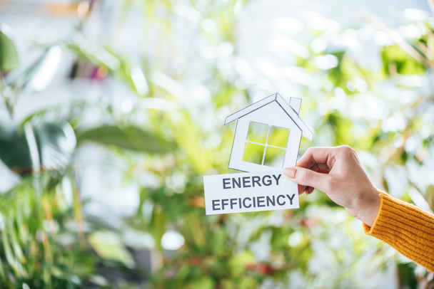 foyer sélectif de la femme tenant maison en papier et carte avec lettrage, concept d'efficacité énergétique à la maison
 - Photo, image