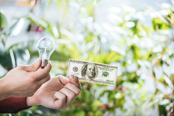 cropped view of man holding hundred dollar banknote and led lamp in hands, energy efficiency concept - Photo, Image