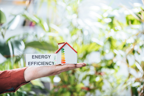 cropped view of man holding card with lettering and carton house in hands, energy efficiency at home concept - Valokuva, kuva