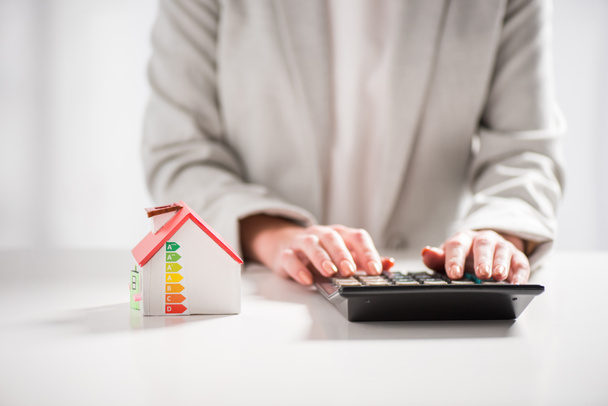 vista ritagliata della donna utilizzando la calcolatrice vicino alla casa di cartone su sfondo bianco, concetto di efficienza energetica a casa
 - Foto, immagini
