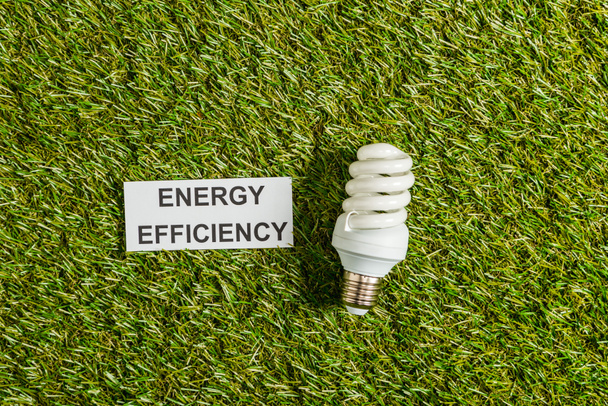  felülnézet fénycső közelében kártya-val energia hatékonyság betűkkel a zöld fű - Fotó, kép