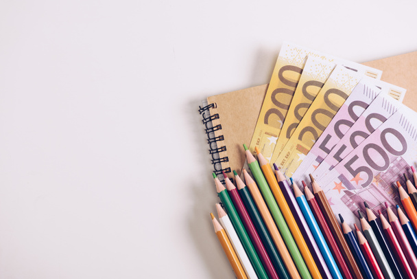 Σετ ξύλινα χρωματιστά μολύβια σε notebook κοντά σε τραπεζογραμμάτια ευρώ σε λευκό φόντο - Φωτογραφία, εικόνα
