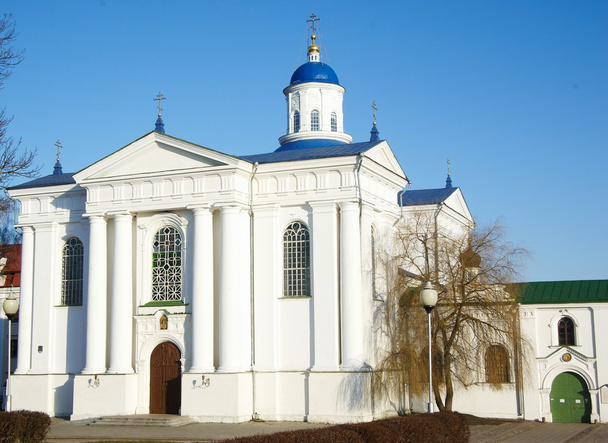 Uspensky Iglesia Zhirovichy Bielorrusia
 - Foto, imagen