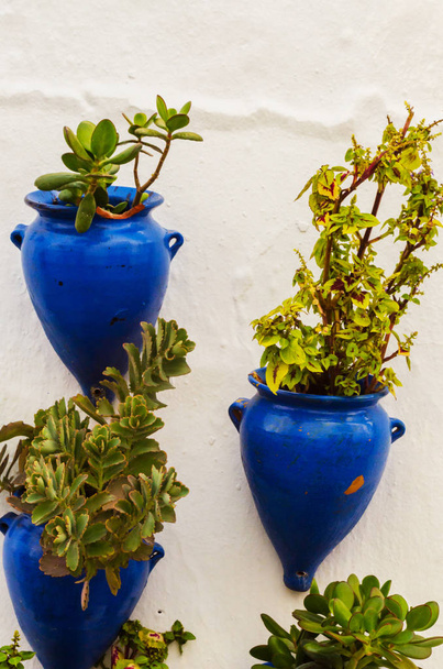 ceramic flower pot with flowers hung on the wall, decorating the urban space, decorative street - Φωτογραφία, εικόνα