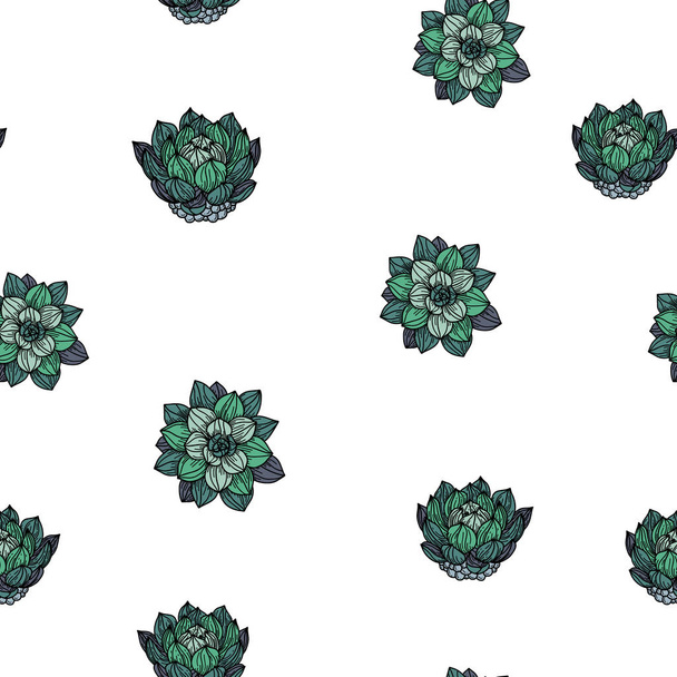 Succulents seamless pattern. - Vector, Image