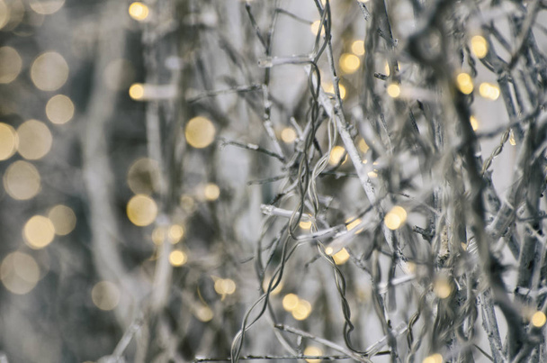 Yellow LED garlands on white branches. Background - Photo, Image