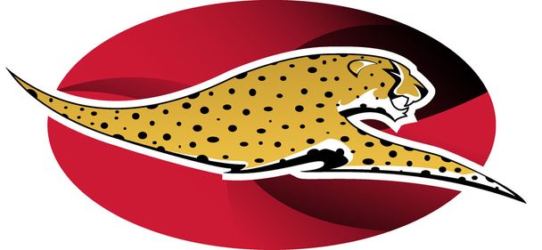 Logo cheetah - Vector, afbeelding