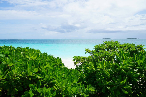 Vista do belo oceano azul-turquesa por trás da folhagem tropical verde nas Maldivas
 - Foto, Imagem