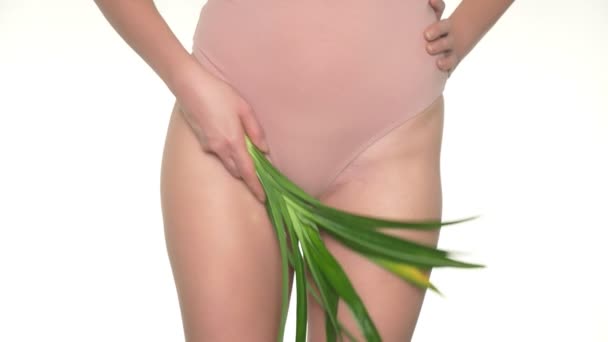 Mujer sosteniendo hojas verdes frescas sobre fondo de lencería, concepto de salud femenina y cuidado corporal
 - Imágenes, Vídeo