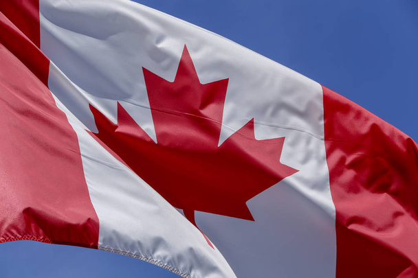 Bandeira do Canadá acenando ao vento com céu azul
  - Foto, Imagem