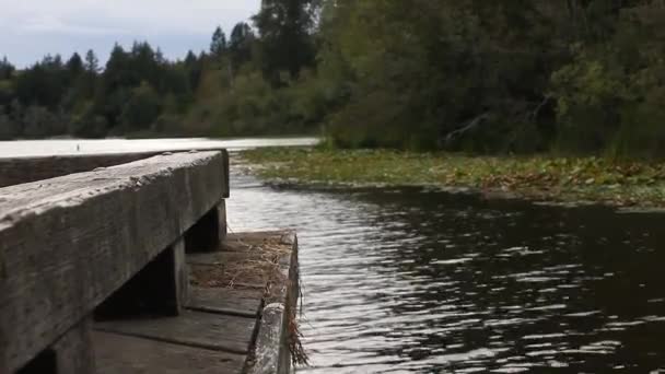 edge of a small fishing dock in a large lake - Footage, Video