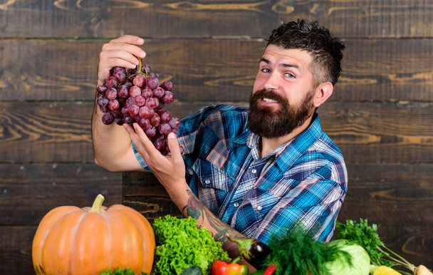 Vegetables organic harvest. Farming concept. Grapes from own garden. Farmer bearded guy with homegrown harvest on table hold grapes. Farmer proud of grapes harvest. Man hold grapes wooden background - Zdjęcie, obraz