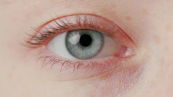 クローズ アップの美しい青い目 - 映像、動画