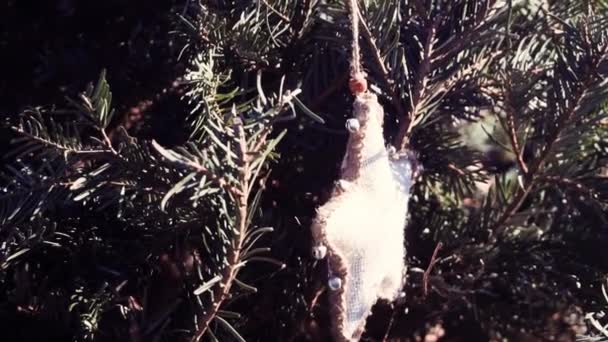 Slow motion. Christmas ornaments hanging on real evergreen Christmas tree. - Materiał filmowy, wideo