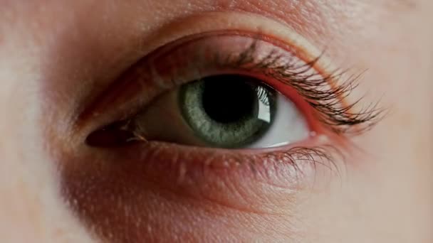 Close-up van de mooie blauwe ogen - Video
