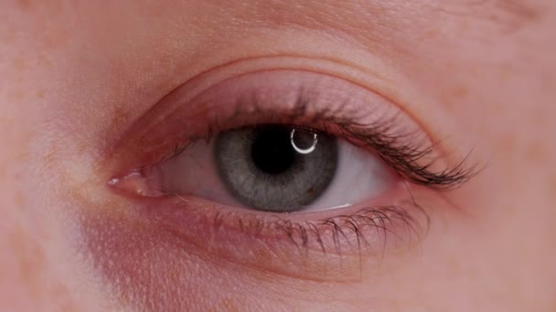Close-up Beautiful Blue Eye - Záběry, video
