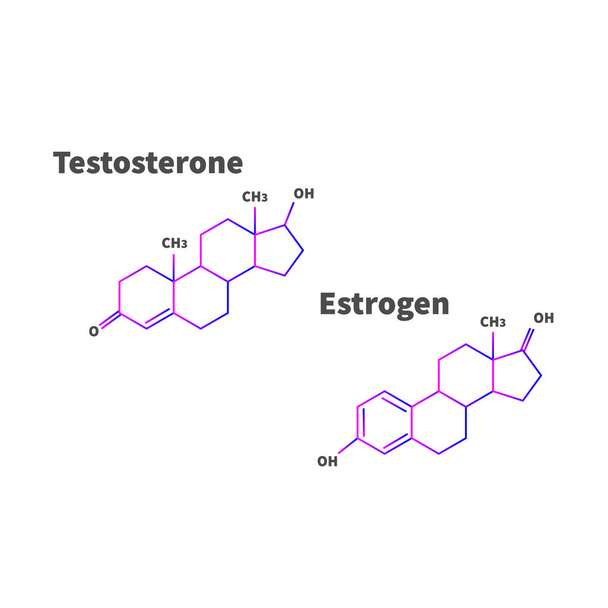 Estrogen a testosteron vzorec izolovaných na bílém pozadí. Vektorové ilustrace - Vektor, obrázek