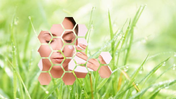 Woman with skin care. wellness suncream. people creme lifestyle. honeycomb. Green grass background. - 写真・画像