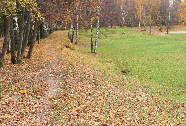 autumn in city park at day - Fotografie, Obrázek